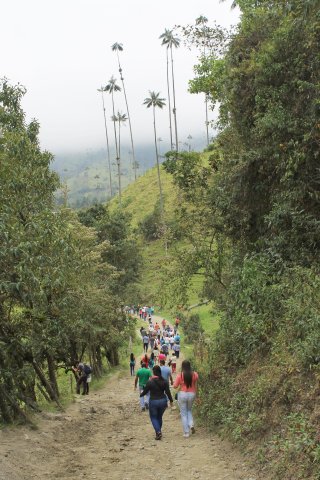 Paseo Ecológico a Salento