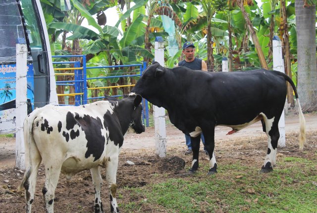 Paseo Ecológico a Salento