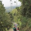 Paseo Ecológico a Salento